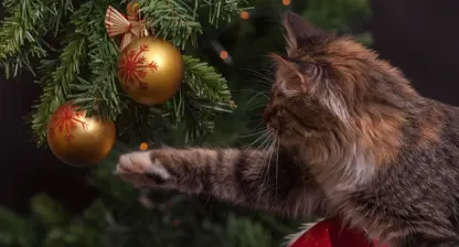 Weihnachtsferien 2025/2026