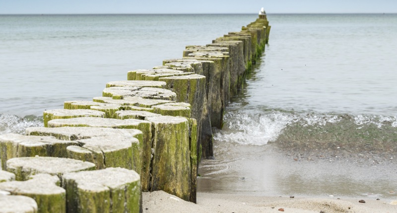 2026 10 Buhne Meer Grenze