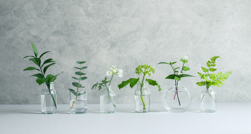 Mit Klarheit, Struktur und innerer Balance in die Selbstständigkeit