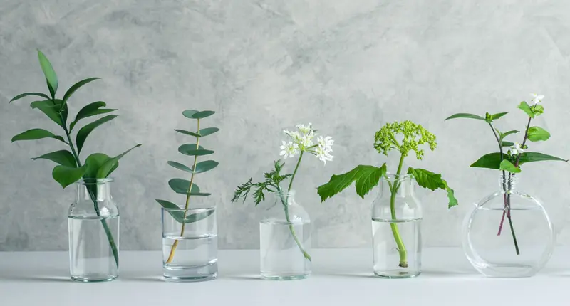 NEU: Erfolgreich selbstständig