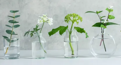 Mit Klarheit, Struktur und innerer Balance in die Selbstständigkeit