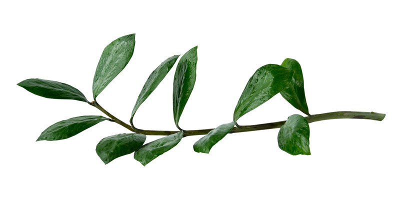 NEU: Traumatische Erschütterungen: Vertrauensaufbau und Abbau von Misstrauen