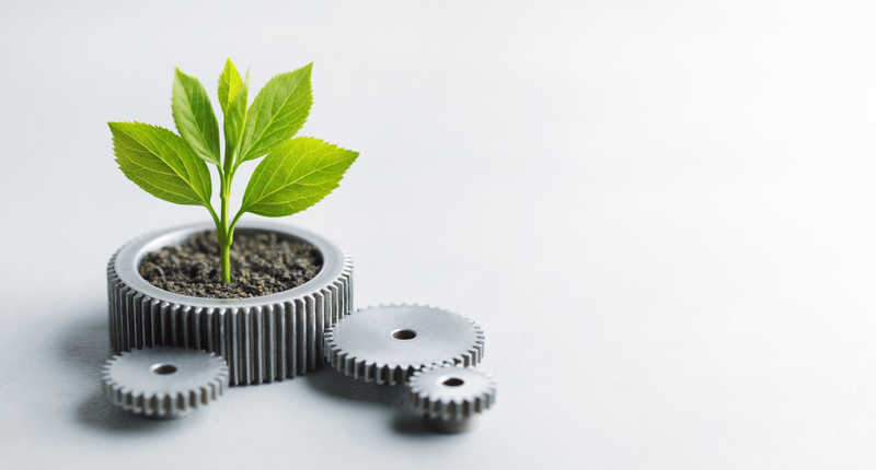 Krisen verstehen. Krisen begleiten.