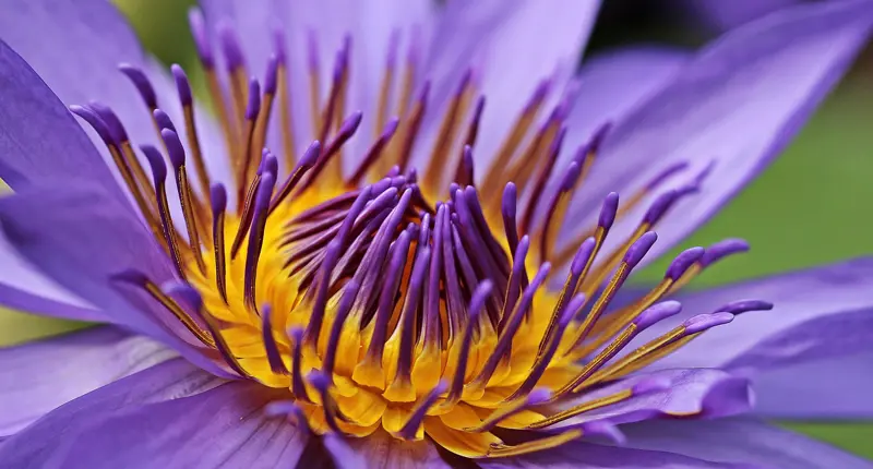 Das Psychotherapeutische Zentrum e. V. stellt sich vor