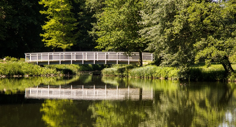 2026 07 Brücke Wasser Bäume