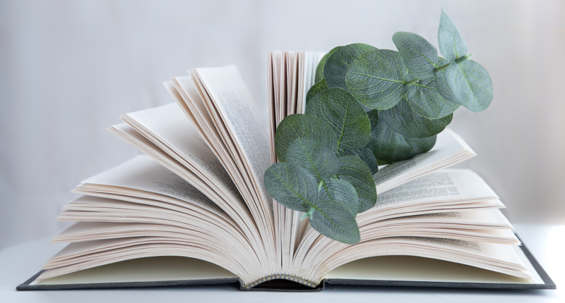 Kursankündigung Prüfungsvorbereitung Heilpraktiker:in Psychotherapie