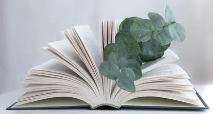 Kursankündigung Prüfungsvorbereitung Heilpraktiker:in Psychotherapie