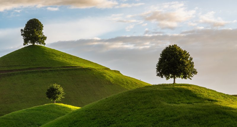 Akzeptanz im Winterschlaf?
