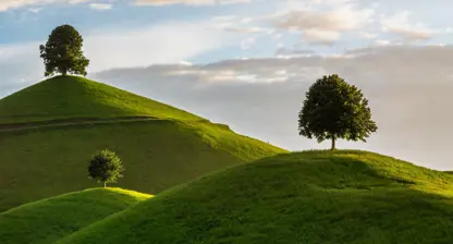 Akzeptanz im Winterschlaf?