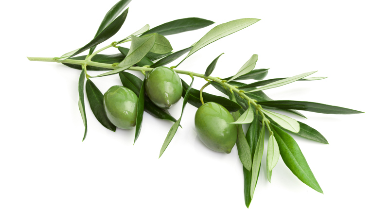 Neue Weiterbildung zur/zum Gewaltpräventionsmanager:in – Professionelle Kompetenzen für sicheren pädagogischen Alltag