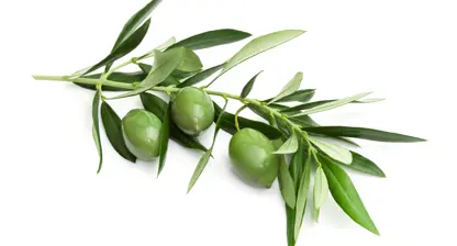 Neue Weiterbildung zur/zum Gewaltpräventionsmanager:in – Professionelle Kompetenzen für sicheren pädagogischen Alltag